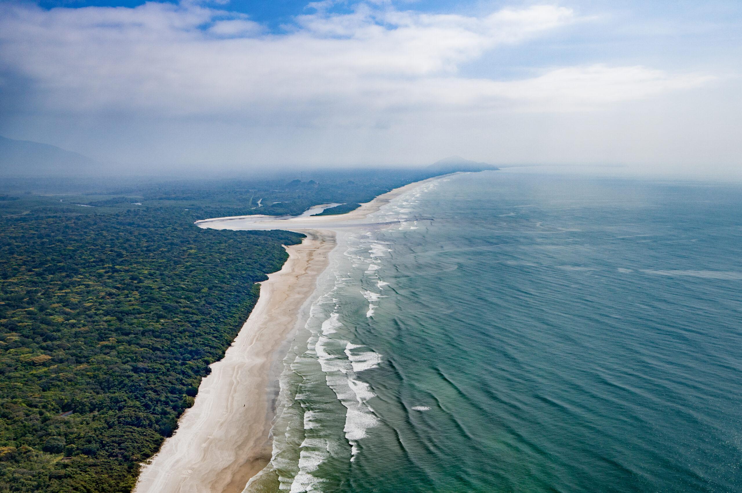 Coastline over a forest
