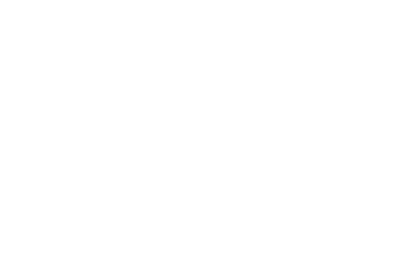 OMNI Helicopters International
