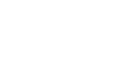 OMNI Táxi Aéreo